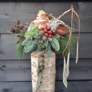 Berkenstam met Amaryllis