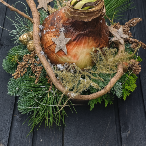 Amaryllis op Houten Schijf