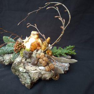 Amaryllis op Boomschors