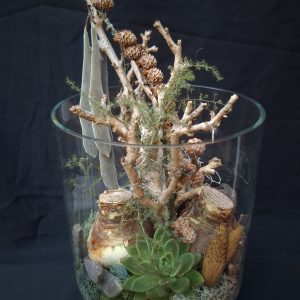 Grote glazen vaas – kerstopmaak met amaryllis