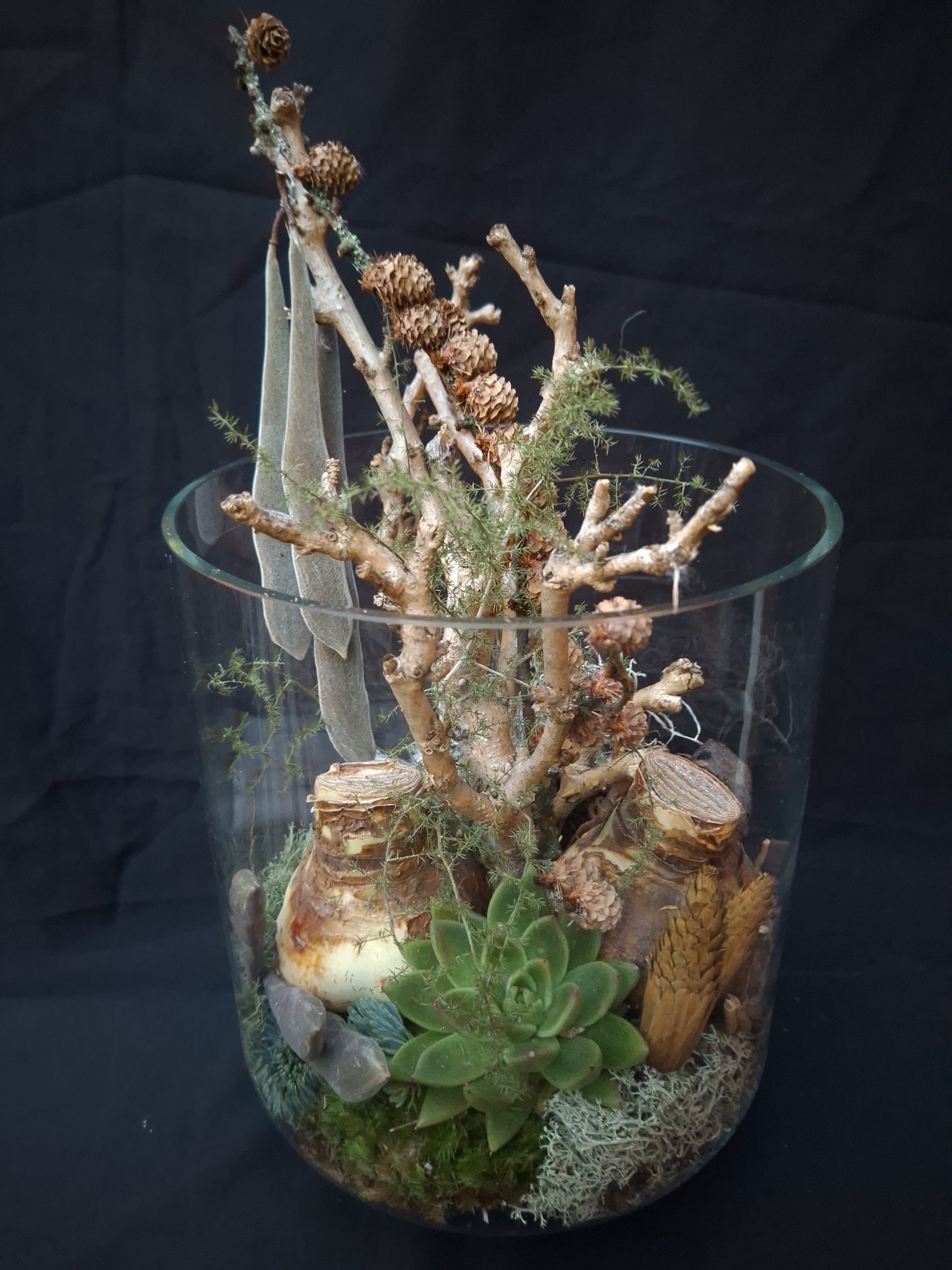 Grote glazen vaas – kerstopmaak met amaryllis